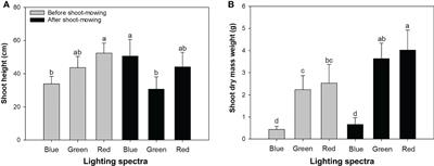 Forage quality and physiological performance of mowed alfalfa (Medicago sativa L.) subjected to combined light quality and drought